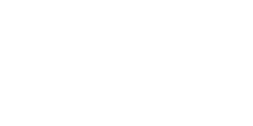 Saueressig Unternehmenslogo in Weiß