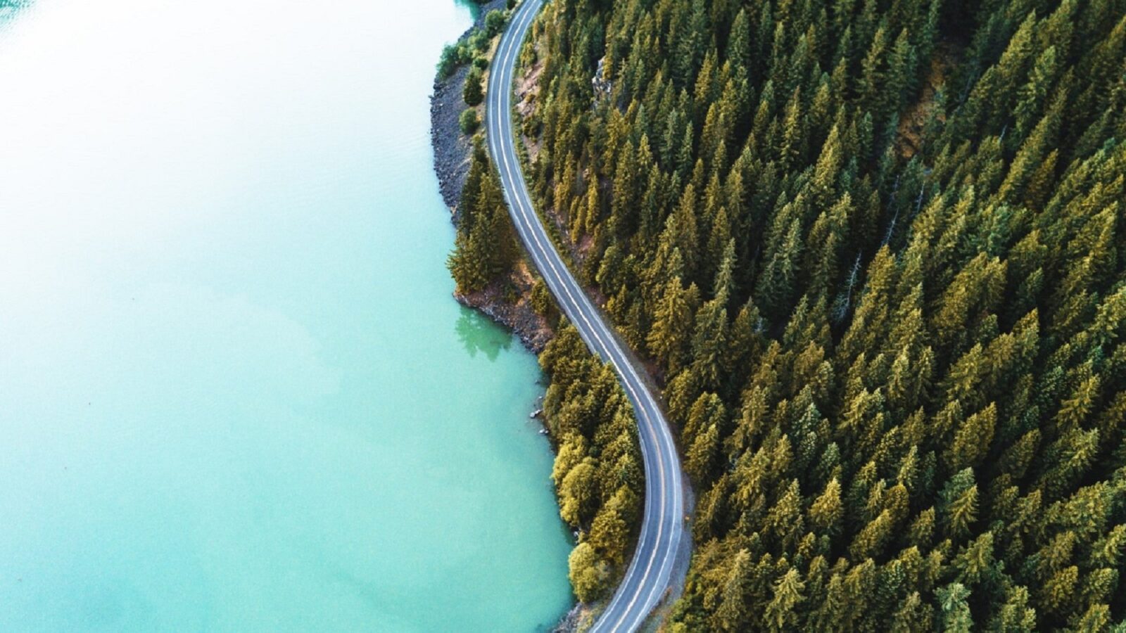 Realignment of Saueressig's mechanical engineering division as well as Olbrich and Polytype